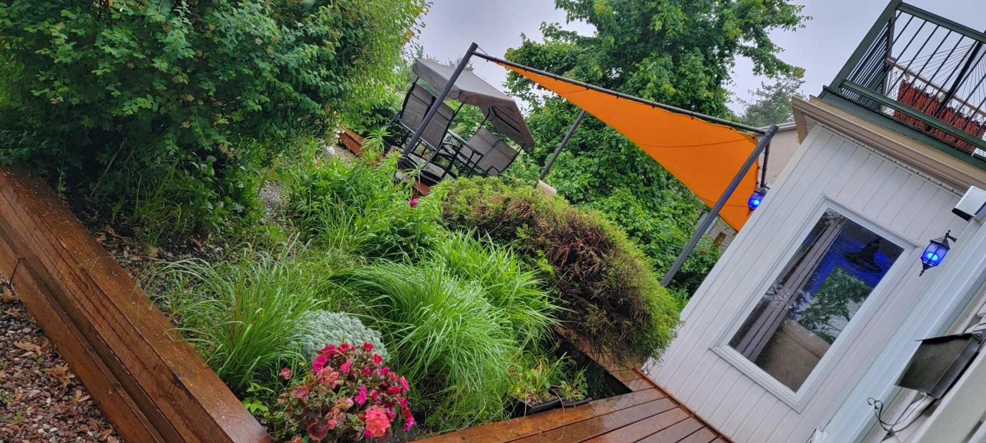 Kokomo Inn Bed And Breakfast Ottawa-Gatineau'S Only Tropical Riverfront B&B On The National Capital Cycling Pathway Route Verte #1 - For Adults Only - Chambre D'Hotes Tropical Aux Berges Des Outaouais Bnb #17542O Eksteriør bilde